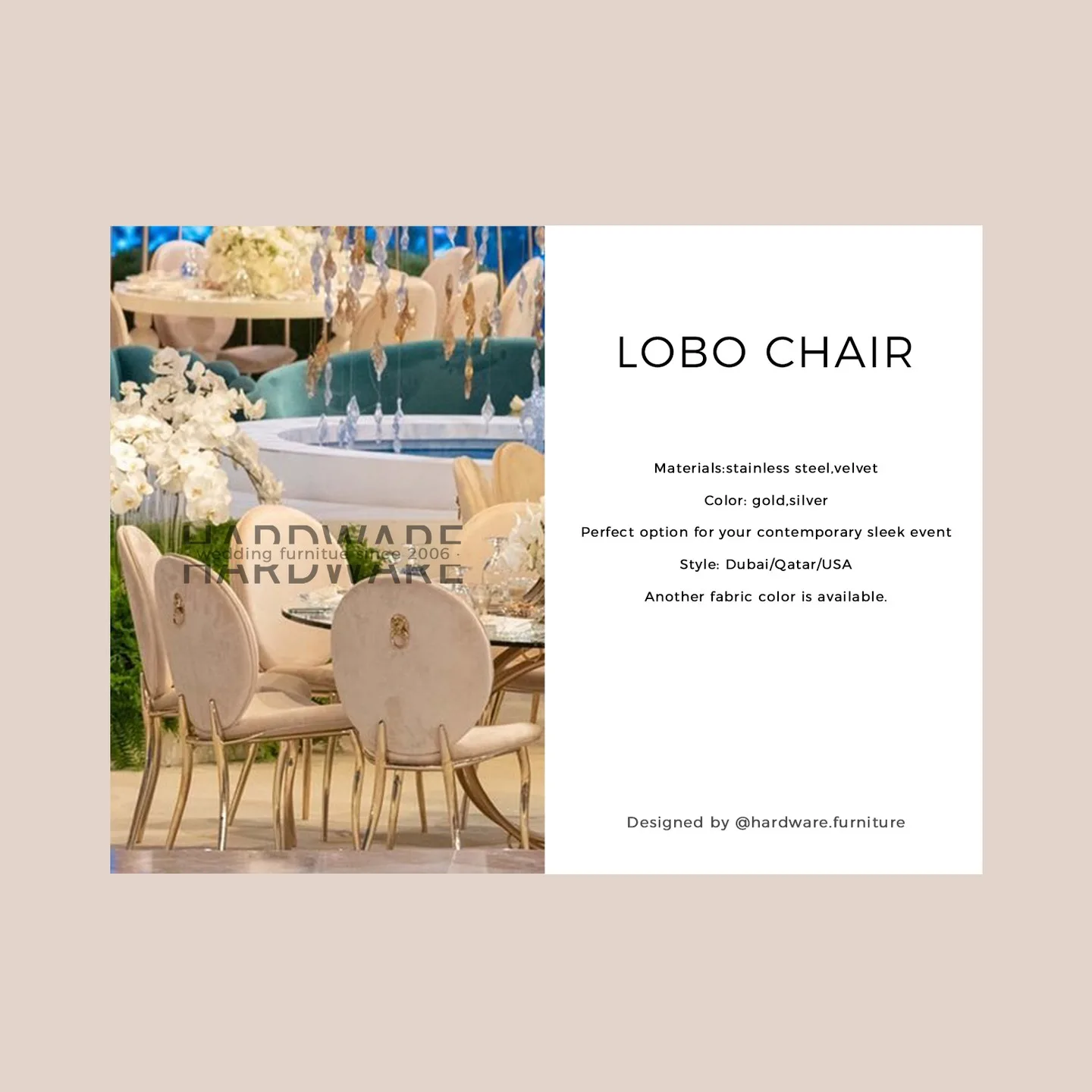 The Lobo Chair with Elegant Back Ring